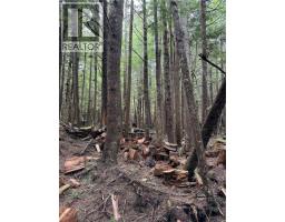 Lt 15 Mitchell Bay Rd, Malcolm Island, BC V0N3E0 Photo 46