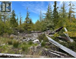 Lt 15 Mitchell Bay Rd, Malcolm Island, BC V0N3E0 Photo 41