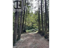 Lt 15 Mitchell Bay Rd, Malcolm Island, BC V0N3E0 Photo 15