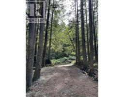 Lt 15 Mitchell Bay Rd, Malcolm Island, BC V0N3E0 Photo 23