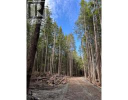 Lt 15 Mitchell Bay Rd, Malcolm Island, BC V0N3E0 Photo 28