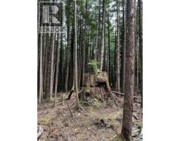 Lt 15 Mitchell Bay Rd, Malcolm Island, BC V0N3E0 Photo 30