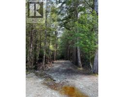 Lt 15 Mitchell Bay Rd, Malcolm Island, BC V0N3E0 Photo 22