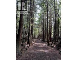 Lt 15 Mitchell Bay Rd, Malcolm Island, BC V0N3E0 Photo 14
