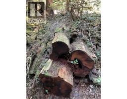 Lt 15 Mitchell Bay Rd, Malcolm Island, BC V0N3E0 Photo 17