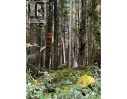 Lt 15 Mitchell Bay Rd, Malcolm Island, BC V0N3E0 Photo 24