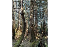 Lt 15 Mitchell Bay Rd, Malcolm Island, BC V0N3E0 Photo 20