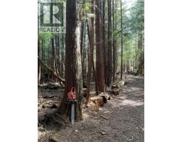 Lt 15 Mitchell Bay Rd, Malcolm Island, BC V0N3E0 Photo 26