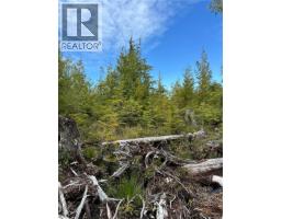 Lt 15 Mitchell Bay Rd, Malcolm Island, BC V0N3E0 Photo 42