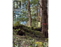 Lt 15 Mitchell Bay Rd, Malcolm Island, BC V0N3E0 Photo 27