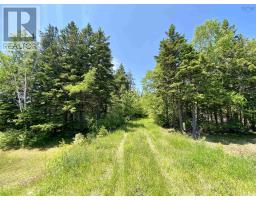Acerage Highway 19, Long Point, NS B9A1P3 Photo 13