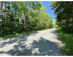 Acerage Highway 19, Long Point, NS B9A1P3 Photo 6