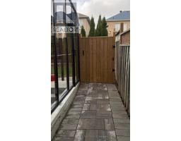 Bsmt - 47 Sapphire Drive, Richmond Hill, ON L4S2E5 Photo 34