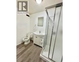 3pc Bathroom - 27 Centenial Crescent, Swan Hills, AB T0G2C0 Photo 9