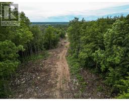 Lot 25 Mckeown Road, Stone Mills, ON K7R3L2 Photo 7
