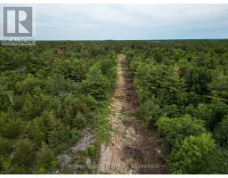 Lot 27 Mckeown Road, Stone Mills, ON K7R3L2 Photo 8