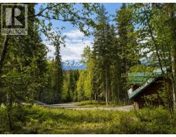 1629 Adolph Johnson Road, Golden, BC V0A1H1 Photo 12