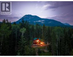 1629 Adolph Johnson Road, Golden, BC V0A1H1 Photo 9