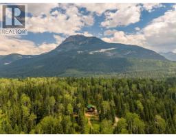1629 Adolph Johnson Road, Golden, BC V0A1H1 Photo 51