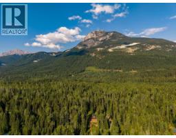 1629 Adolph Johnson Road, Golden, BC V0A1H1 Photo 54