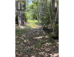 594 Whycocomagh Mountain Rd, Whycocomagh, NS B0E3M0 Photo 23