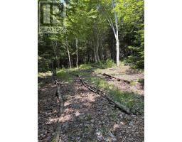 594 Whycocomagh Mountain Rd, Whycocomagh, NS B0E3M0 Photo 27