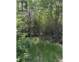 594 Whycocomagh Mountain Rd, Whycocomagh, NS B0E3M0 Photo 21