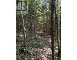 594 Whycocomagh Mountain Rd, Whycocomagh, NS B0E3M0 Photo 25