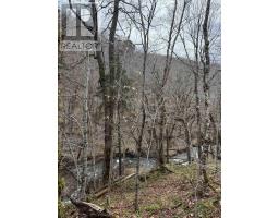 594 Whycocomagh Mountain Rd, Whycocomagh, NS B0E3M0 Photo 29