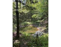 594 Whycocomagh Mountain Rd, Whycocomagh, NS B0E3M0 Photo 19
