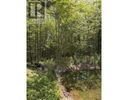 594 Whycocomagh Mountain Rd, Whycocomagh, NS B0E3M0 Photo 22