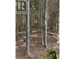 594 Whycocomagh Mountain Rd, Whycocomagh, NS B0E3M0 Photo 28