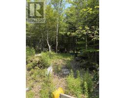 594 Whycocomagh Mountain Rd, Whycocomagh, NS B0E3M0 Photo 20