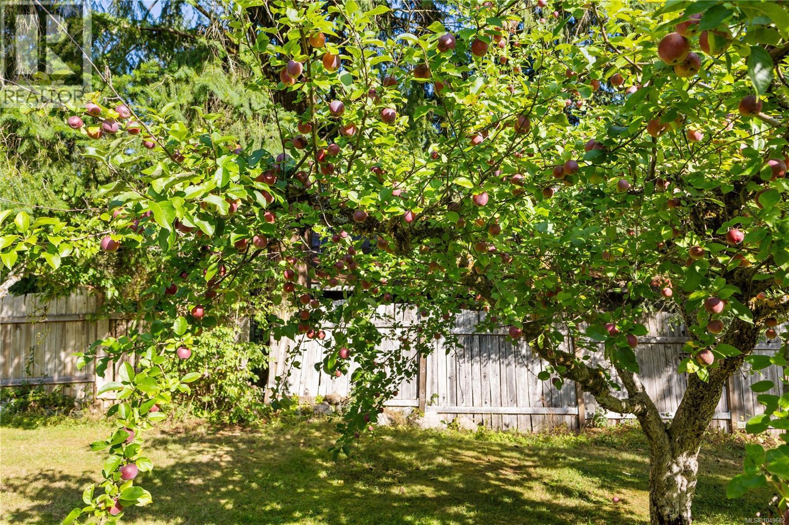 1818 Sachts Rd - Image 42