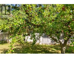 1818 Sachts Rd, Sayward, BC V0P1R0 Photo 42