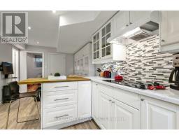 Lower - 17 Birdsall Avenue, Toronto, ON M4R2B7 Photo 11