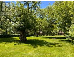 20314 Leslie Street, East Gwillimbury, ON L0G1R0 Photo 43