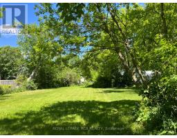 20314 Leslie Street, East Gwillimbury, ON L0G1R0 Photo 44