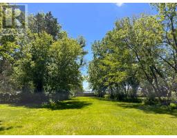 20314 Leslie Street, East Gwillimbury, ON L0G1R0 Photo 45