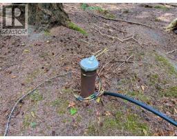 9 Mine Rd, Lasqueti Island, BC V0R2J0 Photo 39