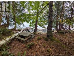 9 Mine Rd, Lasqueti Island, BC V0R2J0 Photo 33