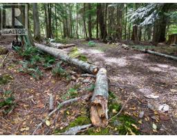 9 Mine Rd, Lasqueti Island, BC V0R2J0 Photo 38