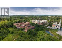 370 Doak Lane, Newmarket, ON L3Y0A8 Photo 33