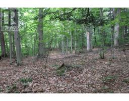 2209 Jochem Road, Edwardsburgh/cardinal, ON K0G1T0 Photo 10