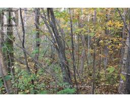 2209 Jochem Road, Edwardsburgh/cardinal, ON K0G1T0 Photo 11