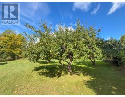1703 Union Road, Evansville, ON P0P1E0 Photo 21