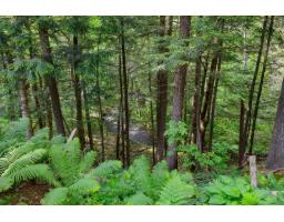 12 Cer. De St-anton, Lac Sainte Marie, QC J0X1Z0 Photo 29