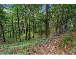 12 Cer. De St-anton, Lac Sainte Marie, QC J0X1Z0 Photo 30