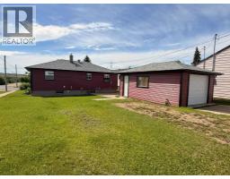 5040 48th Street, Hardisty, AB T0B0V0 Photo 18
