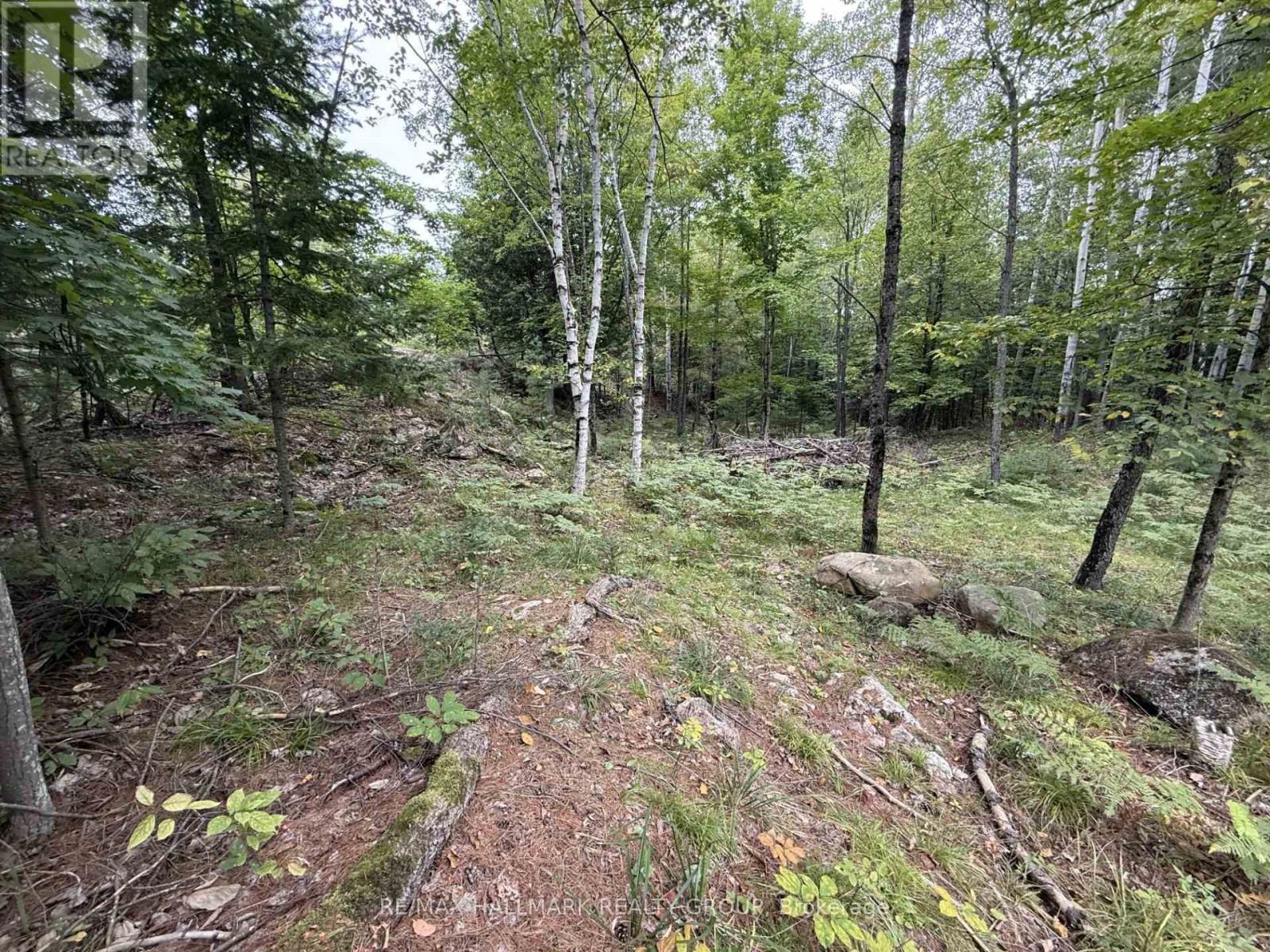 1059 6TH CONCESSION B ROAD, Lanark Highlands — photo 4